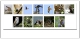 1 LAYOUT STW.jpg